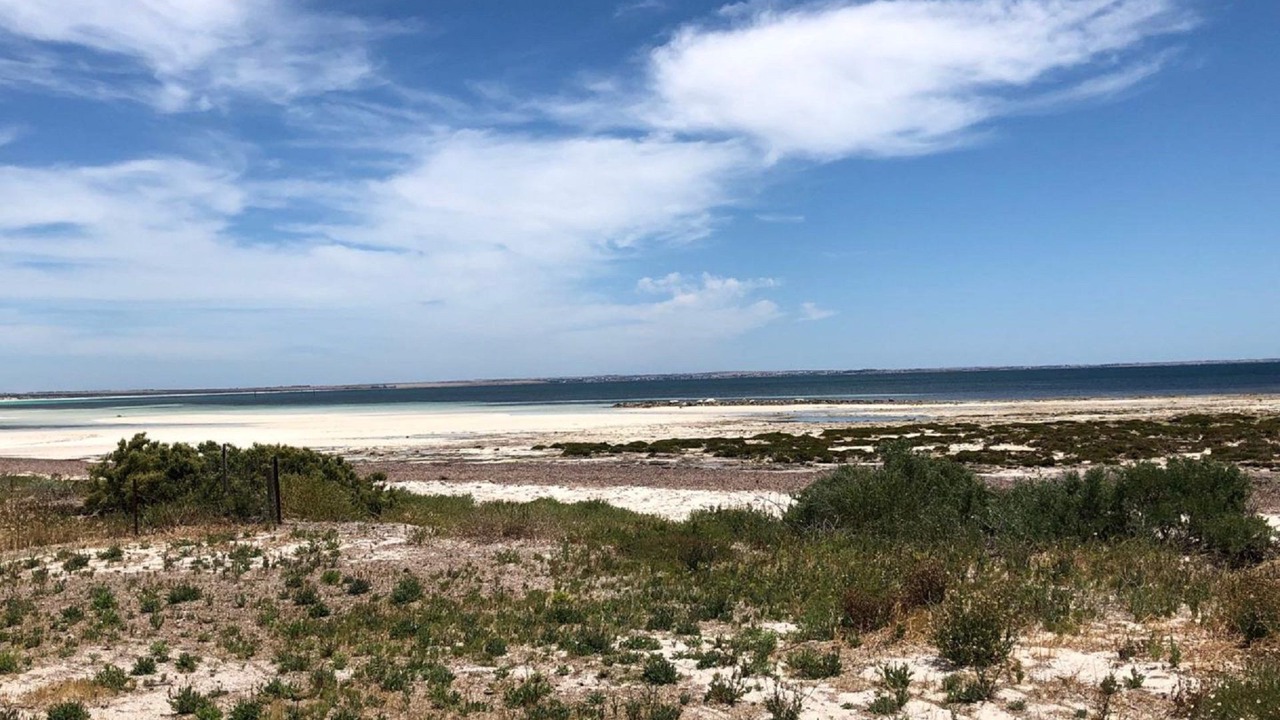 Photo of Others in Minlacowie