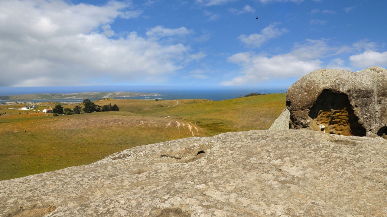 Photo of Outdoor in Dillon Beach