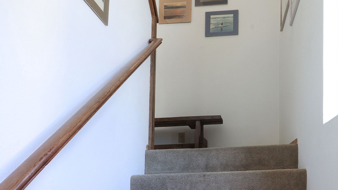 Photo of Others in Dillon Beach