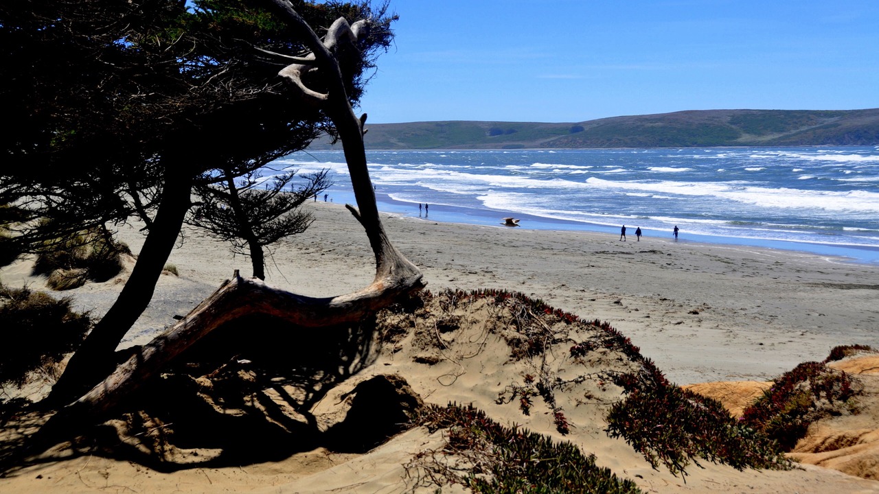 Photo of Others in Dillon Beach