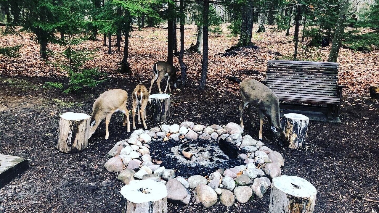 Photo of Outdoor in Town of Webb