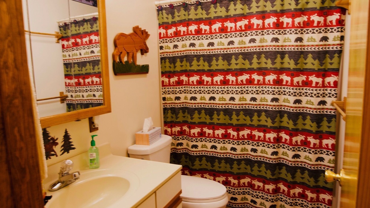 Photo of Bathroom in Town of Webb