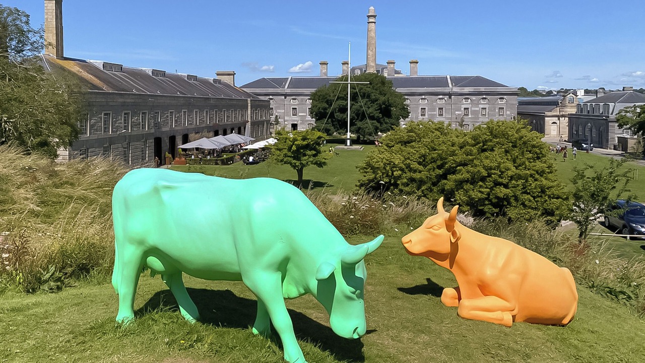 Photo of Others in Plymouth