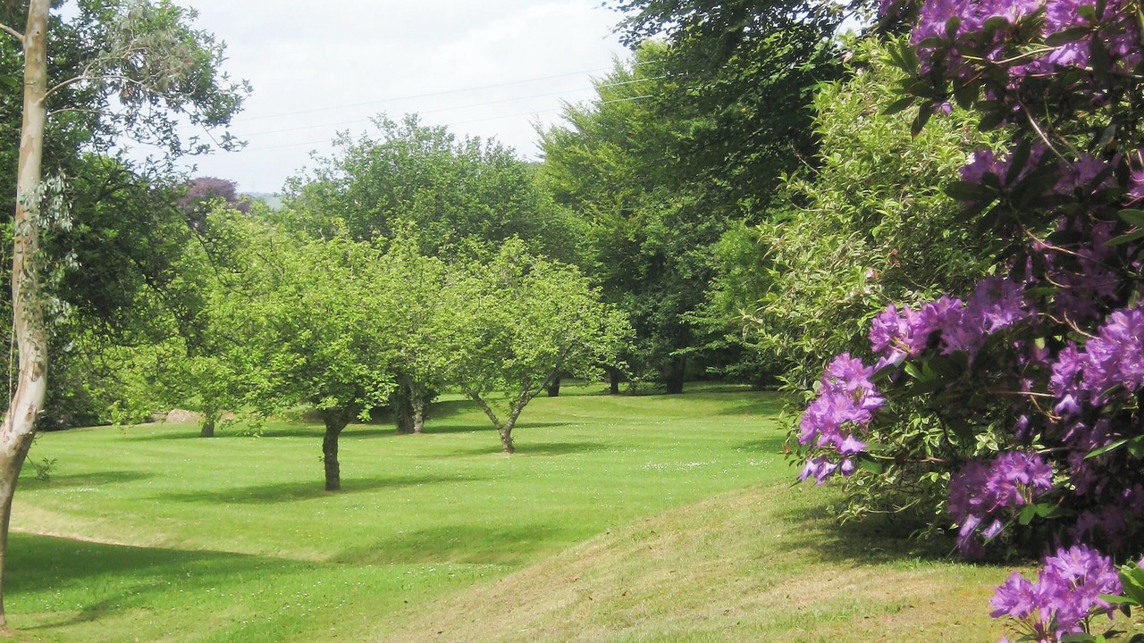 Photo of Outdoor in Lostwithiel