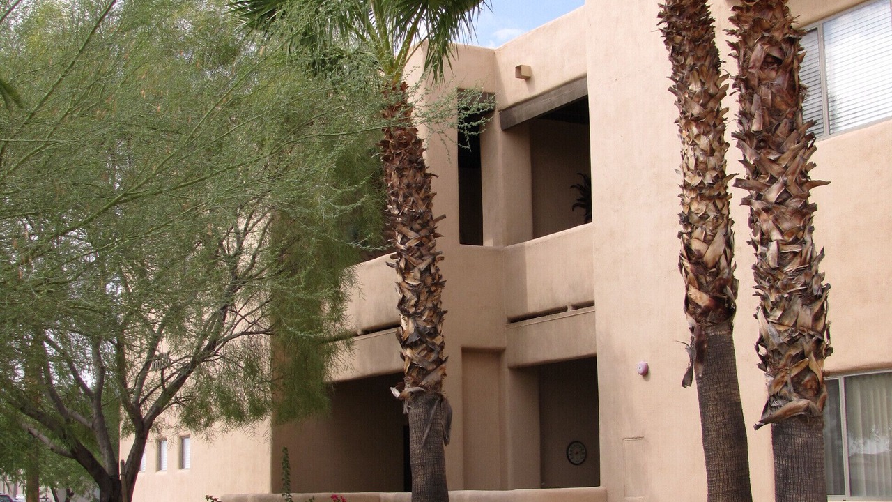 Photo of Outdoor in Town Center