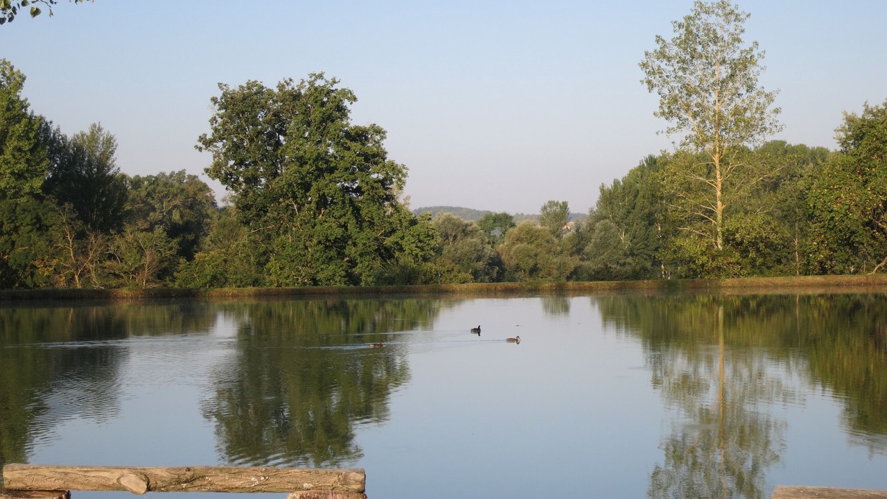 Photo of Others in Marzens