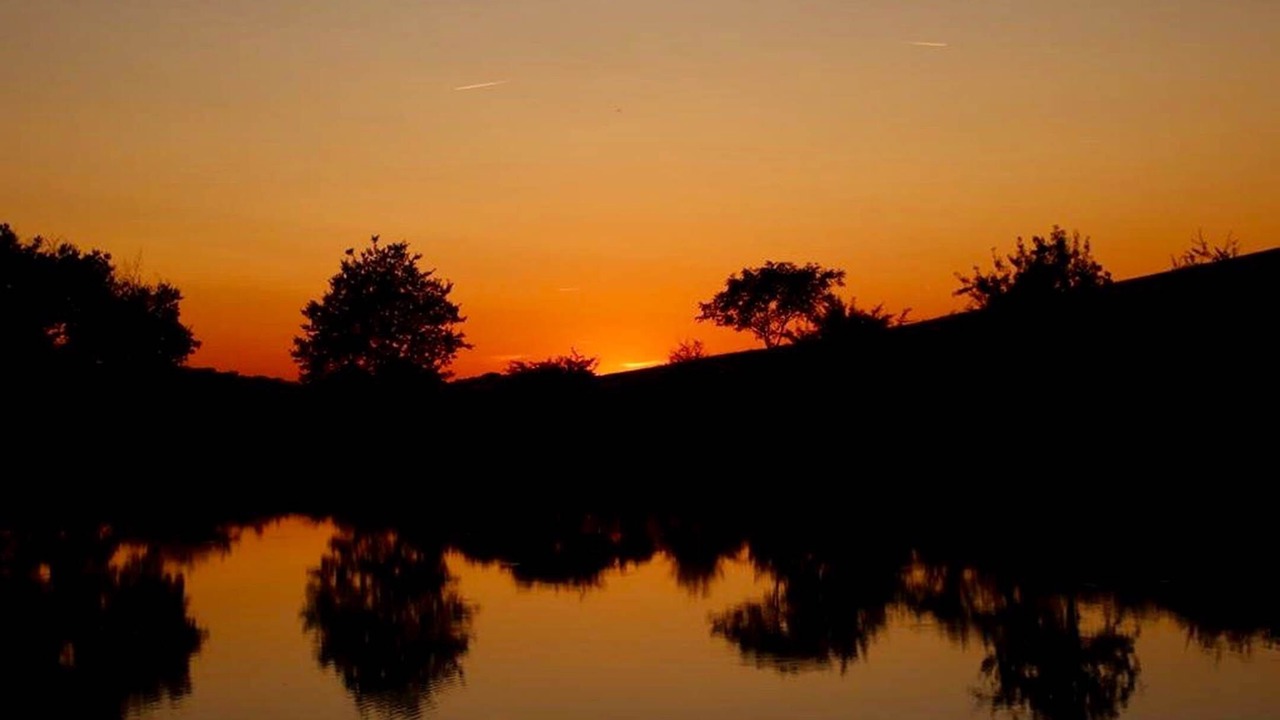 Photo of Others in Marzens