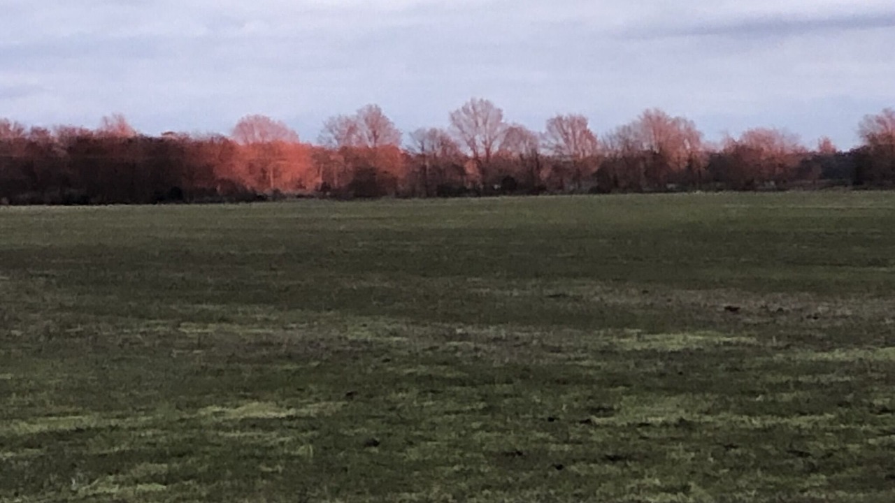 Photo of Outdoor in Shaw
