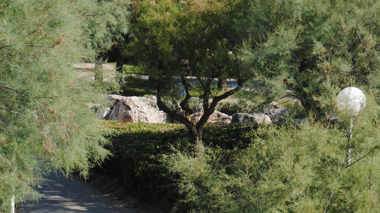 Photo of Outdoor in Le Couchant