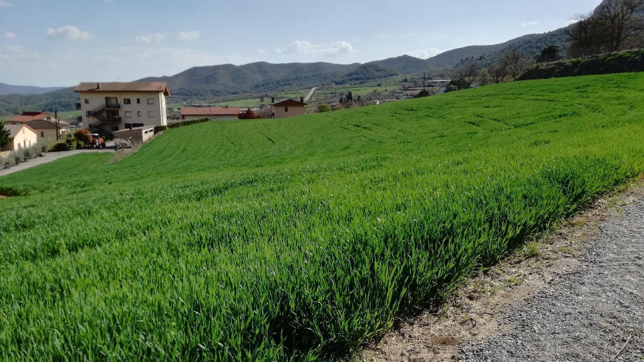 Photo of Outdoor in Trago