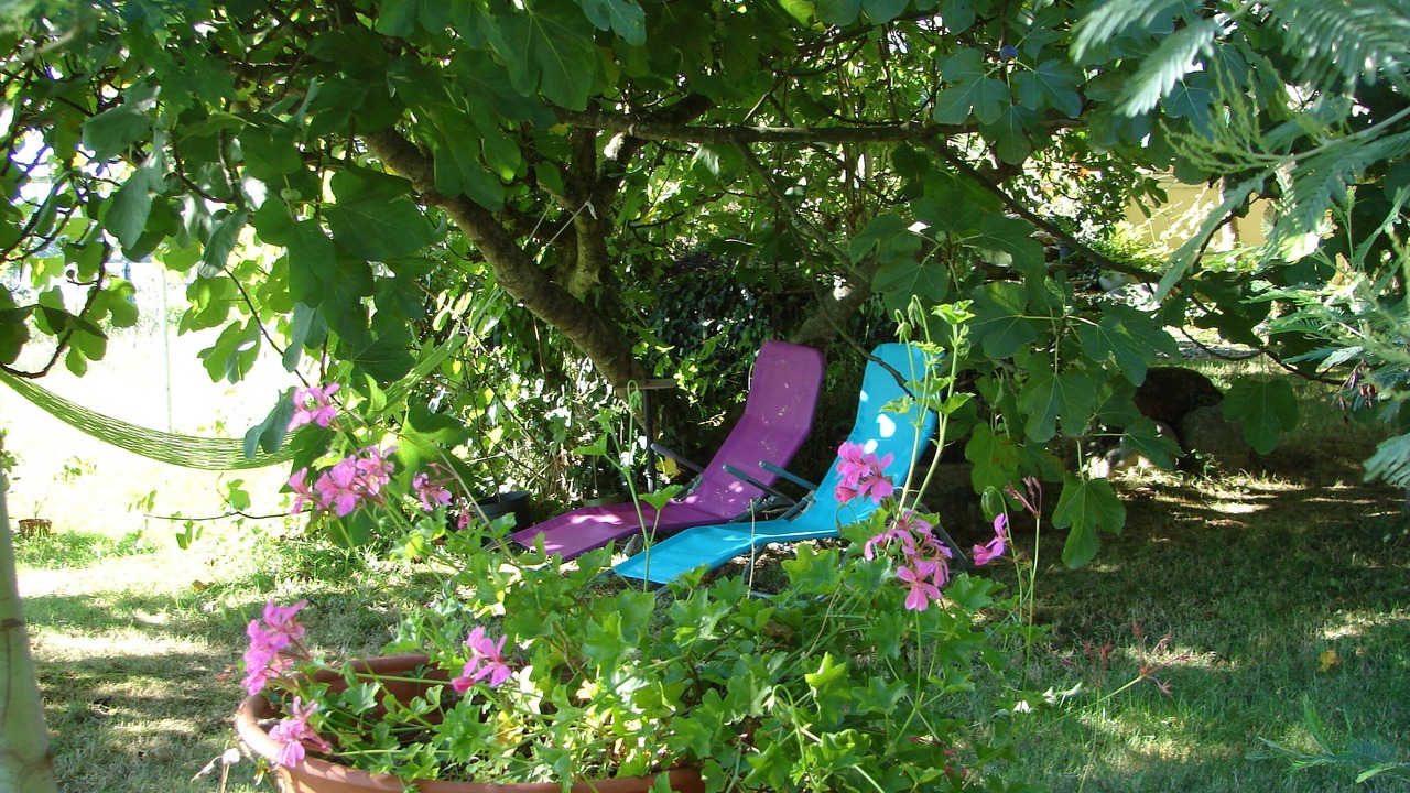 Photo of Outdoor in Puydarrieux