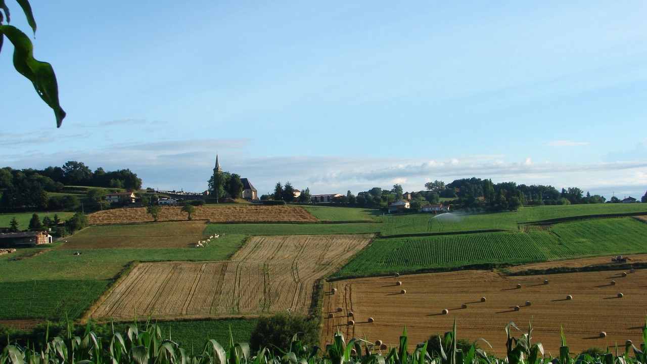 Photo of Others in Puydarrieux