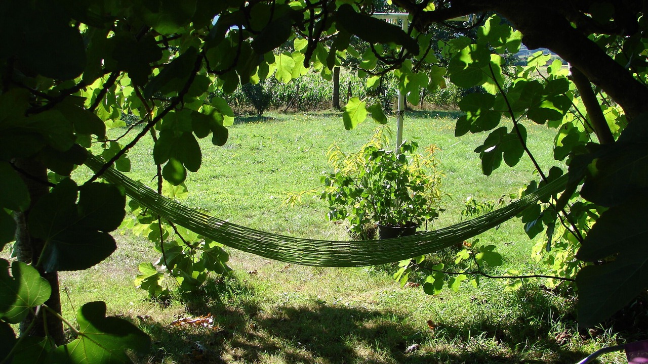 Photo of Outdoor in Puydarrieux