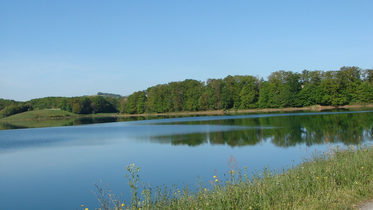 Photo of Outdoor in Puydarrieux