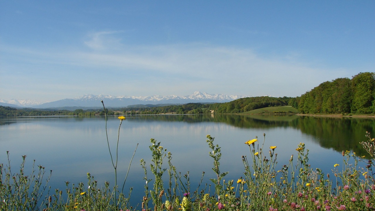 Photo of Others in Puydarrieux