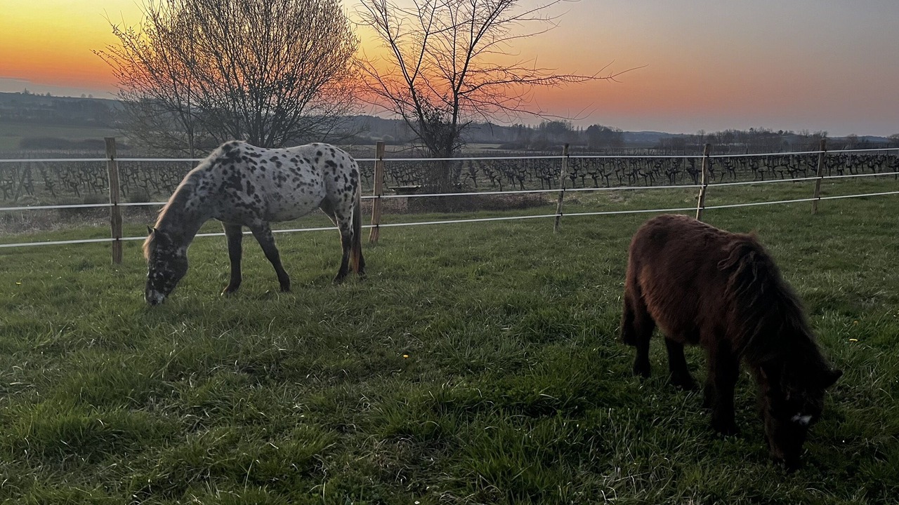 Photo of Outdoor in Gornac