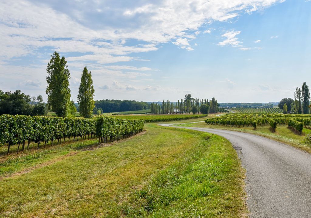 Photo of Outdoor in Gornac