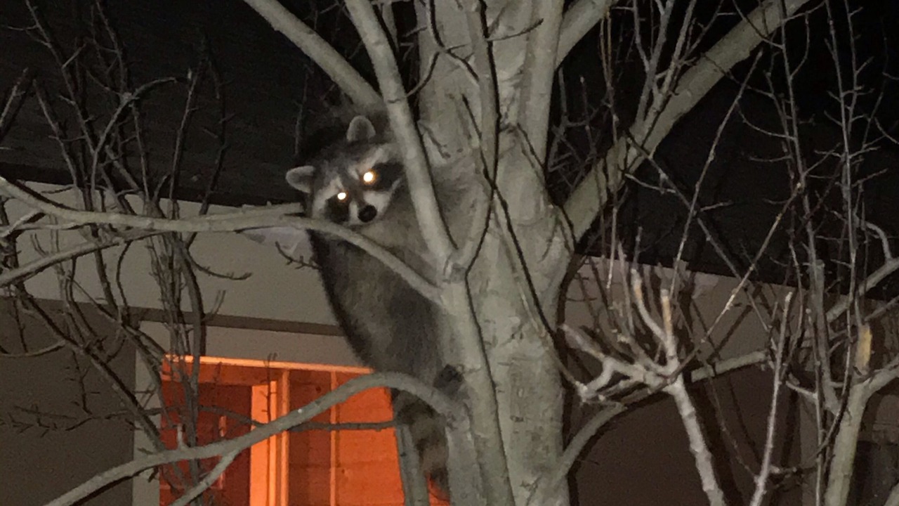 Photo of Others in Jackson