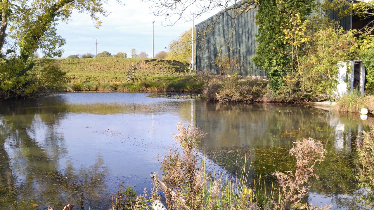 Photo of Outdoor in Foxley