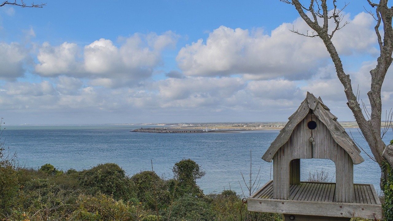 Photo of Others in Freshwater