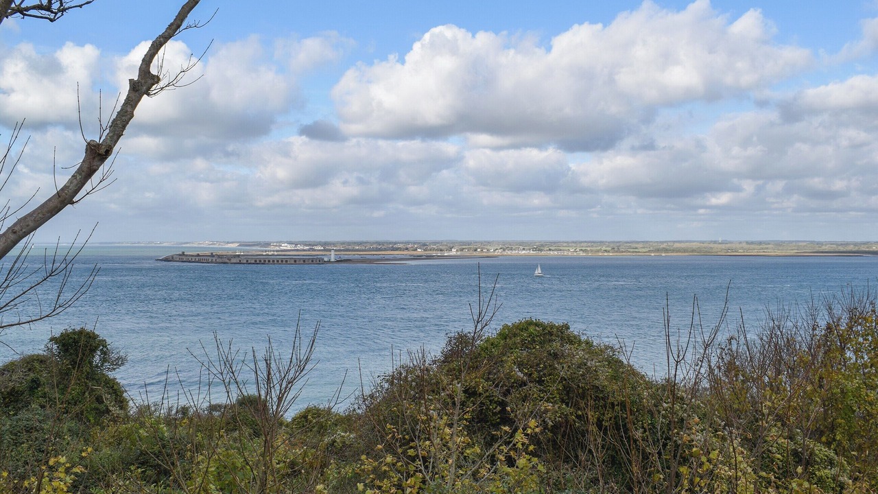 Photo of Others in Freshwater