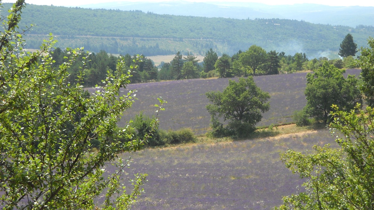 Photo of Outdoor in Aurel