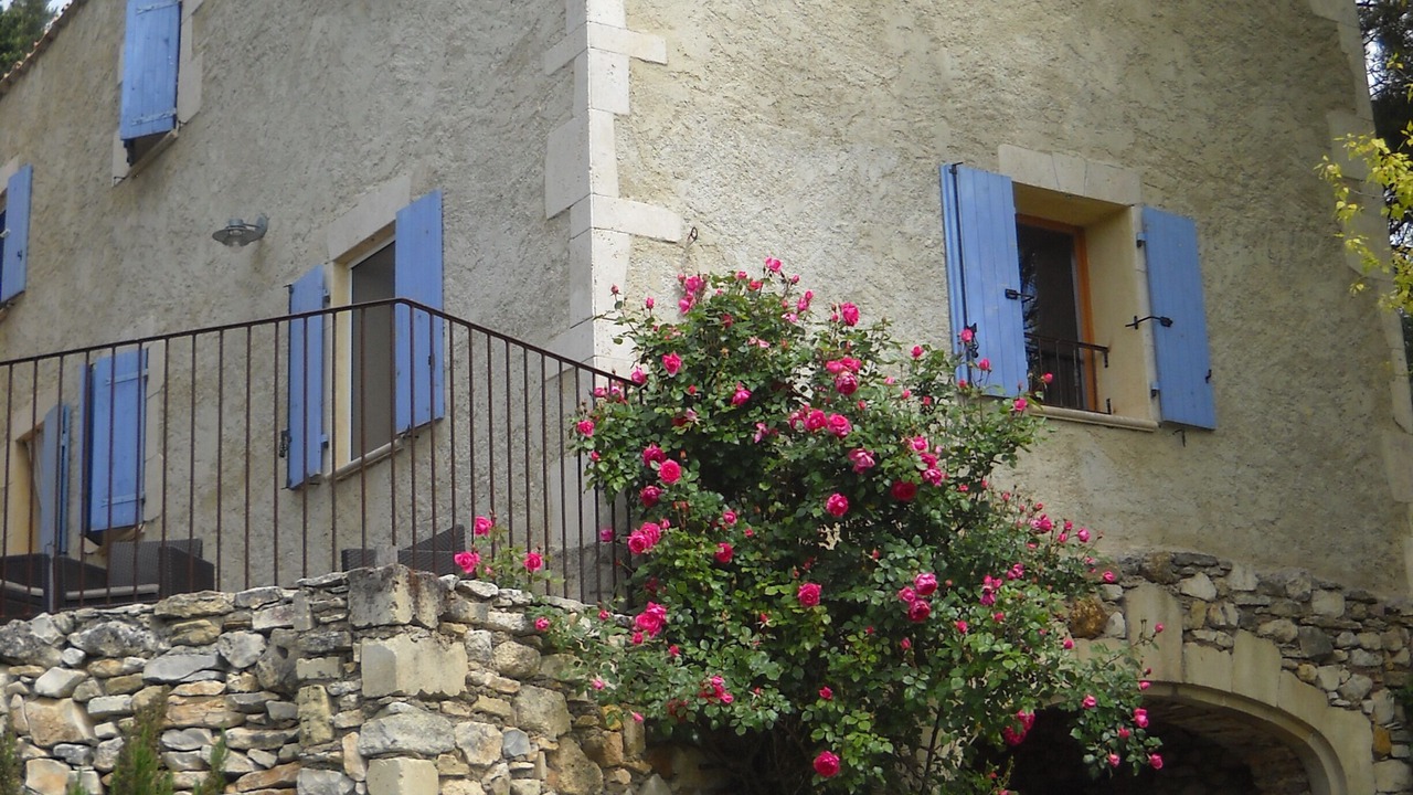 Photo of Outdoor in Aurel