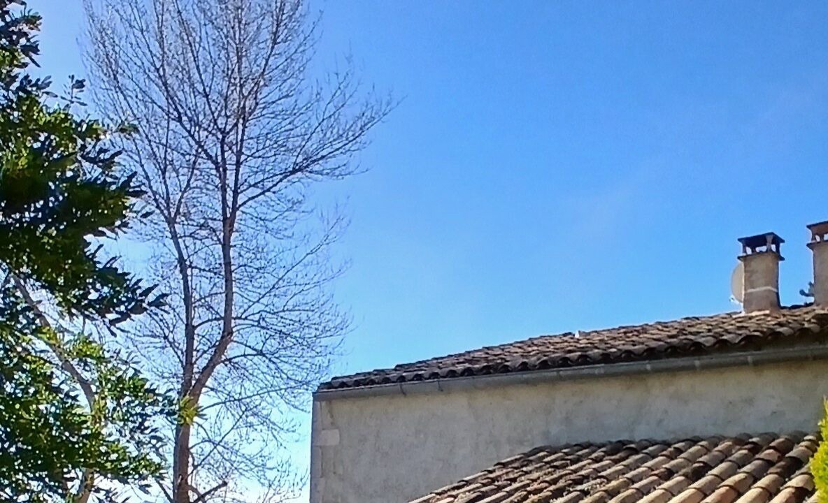 Photo of Outdoor in Aurel