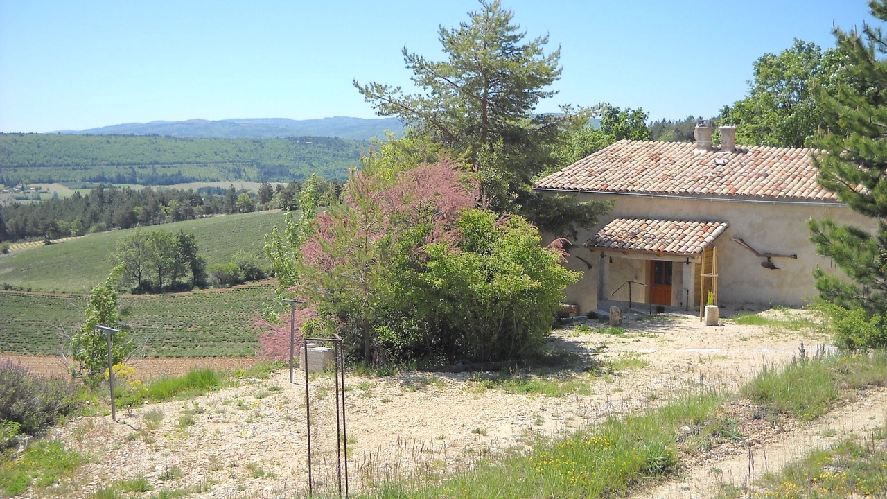 Photo of Outdoor in Aurel