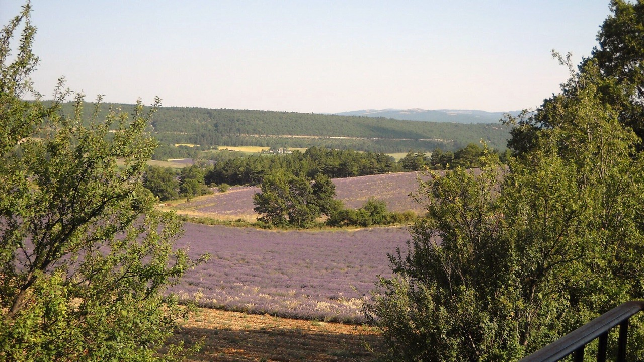 Photo of Patio Balcony in Aurel