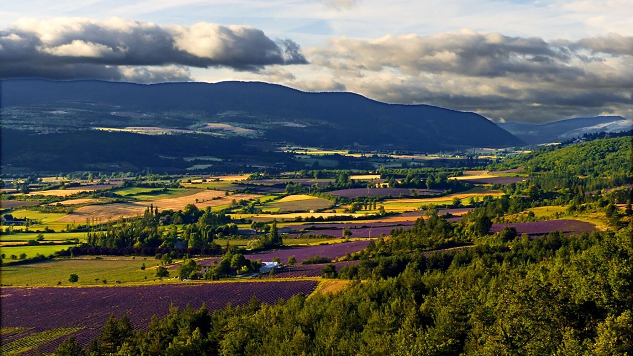 Photo of Outdoor in Aurel