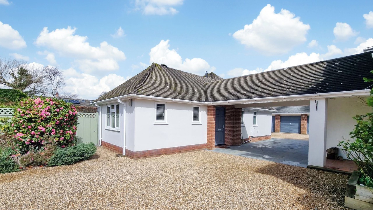 Photo of Outdoor in New Forest District