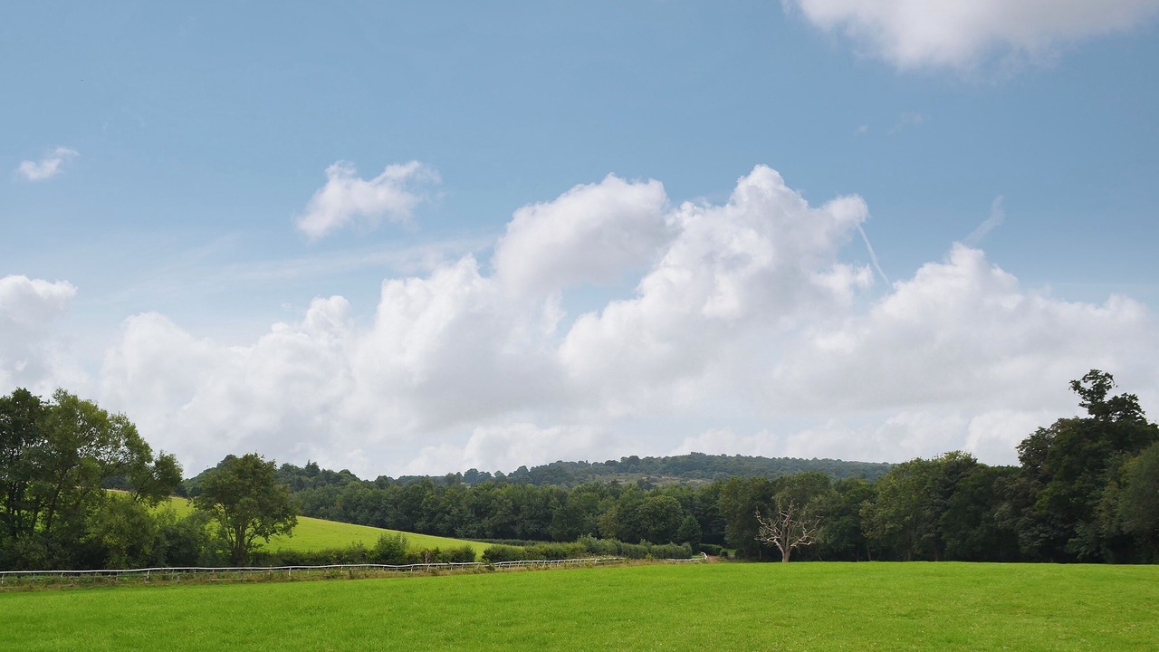 Photo of Others in Godstone