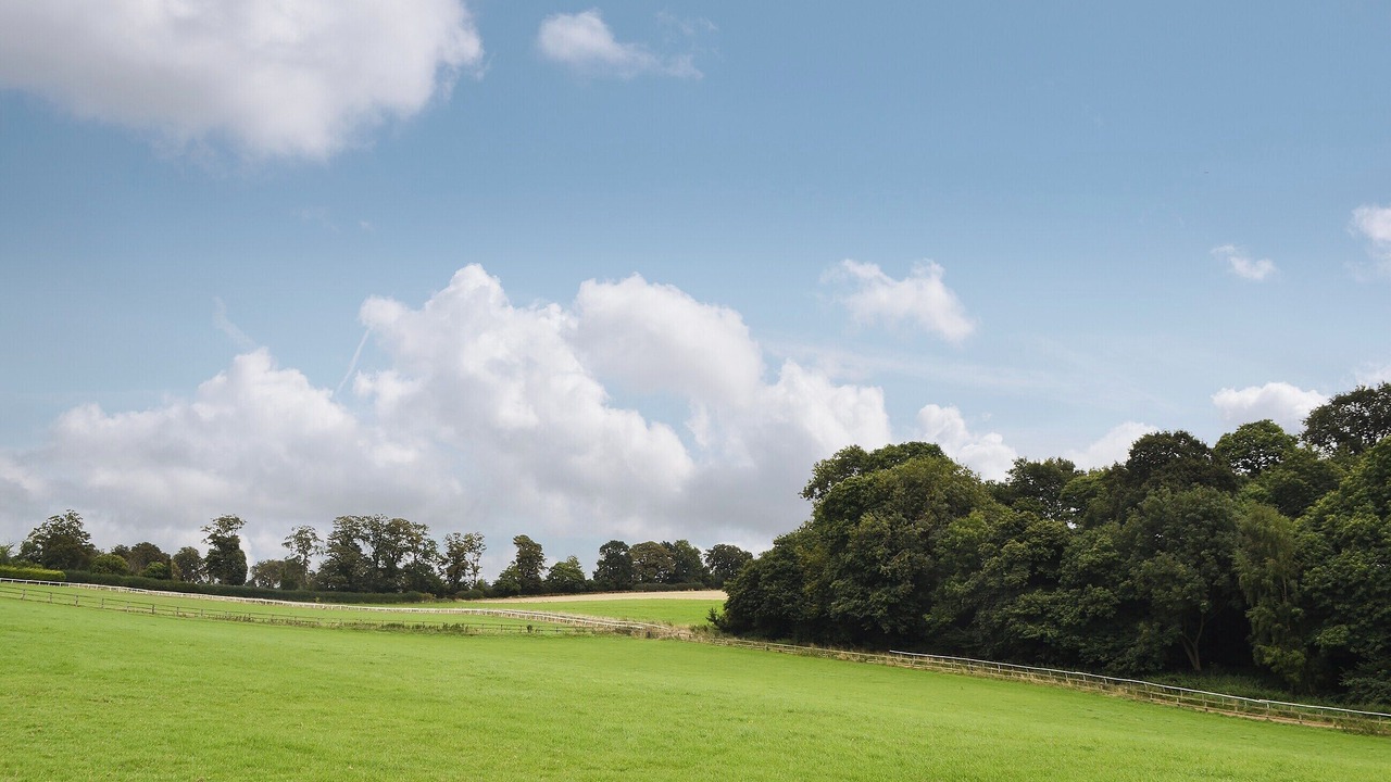 Photo of Others in Godstone