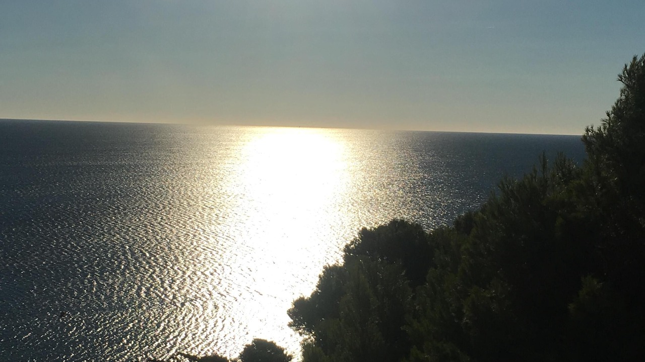 Photo of Others in La Franqui