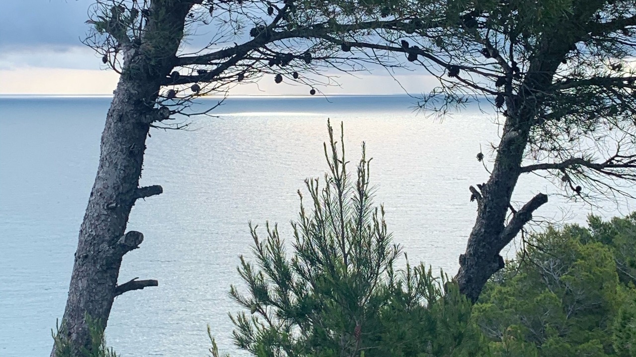 Photo of Outdoor in La Franqui