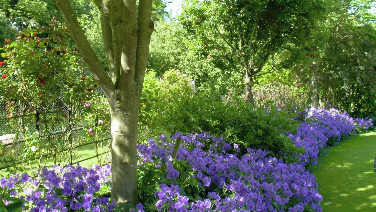 Photo of Others in Lofthouse