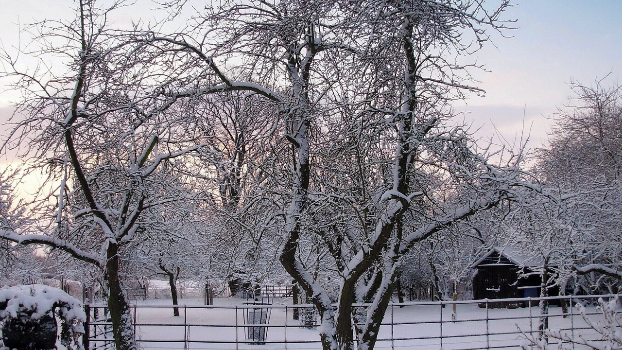 Photo of Others in Lofthouse