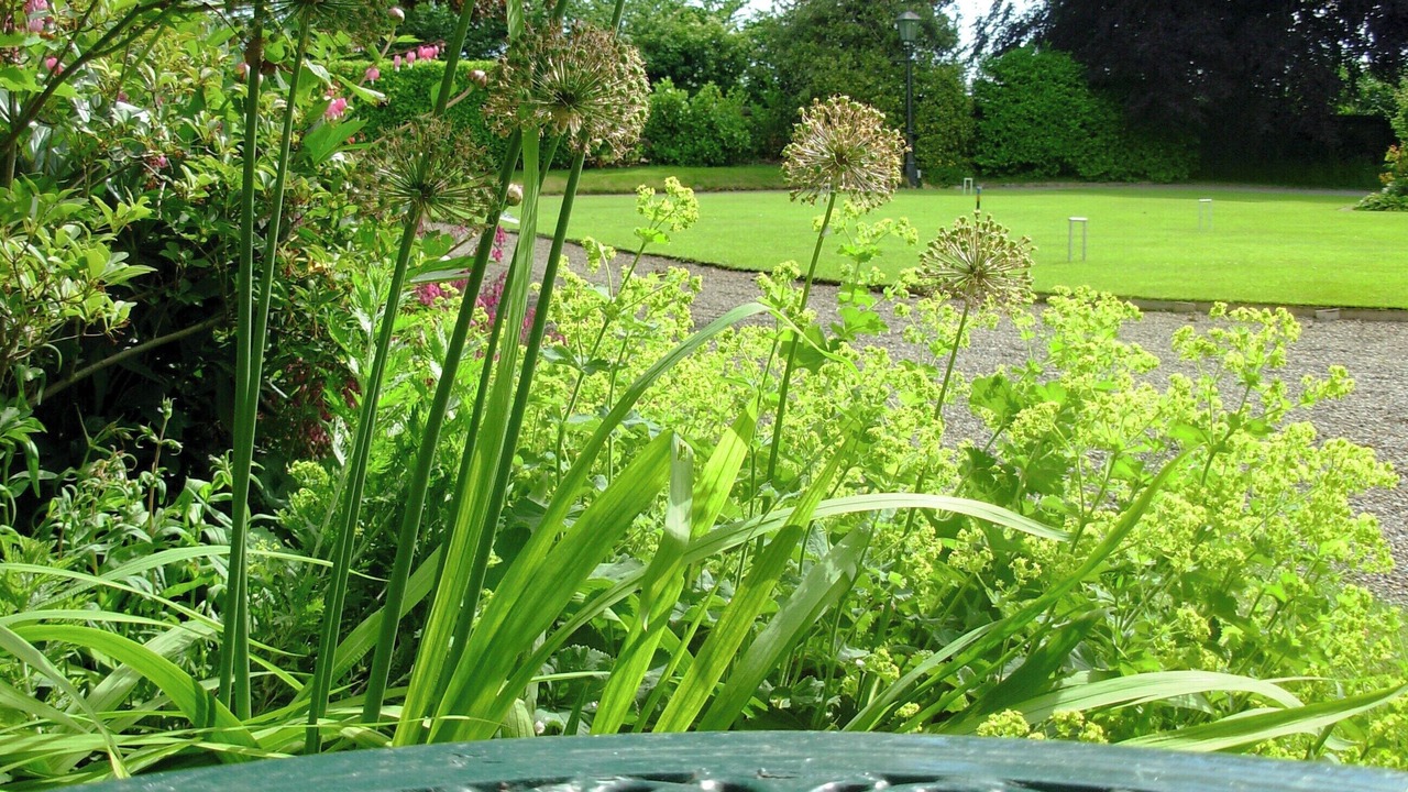 Photo of Others in Lofthouse