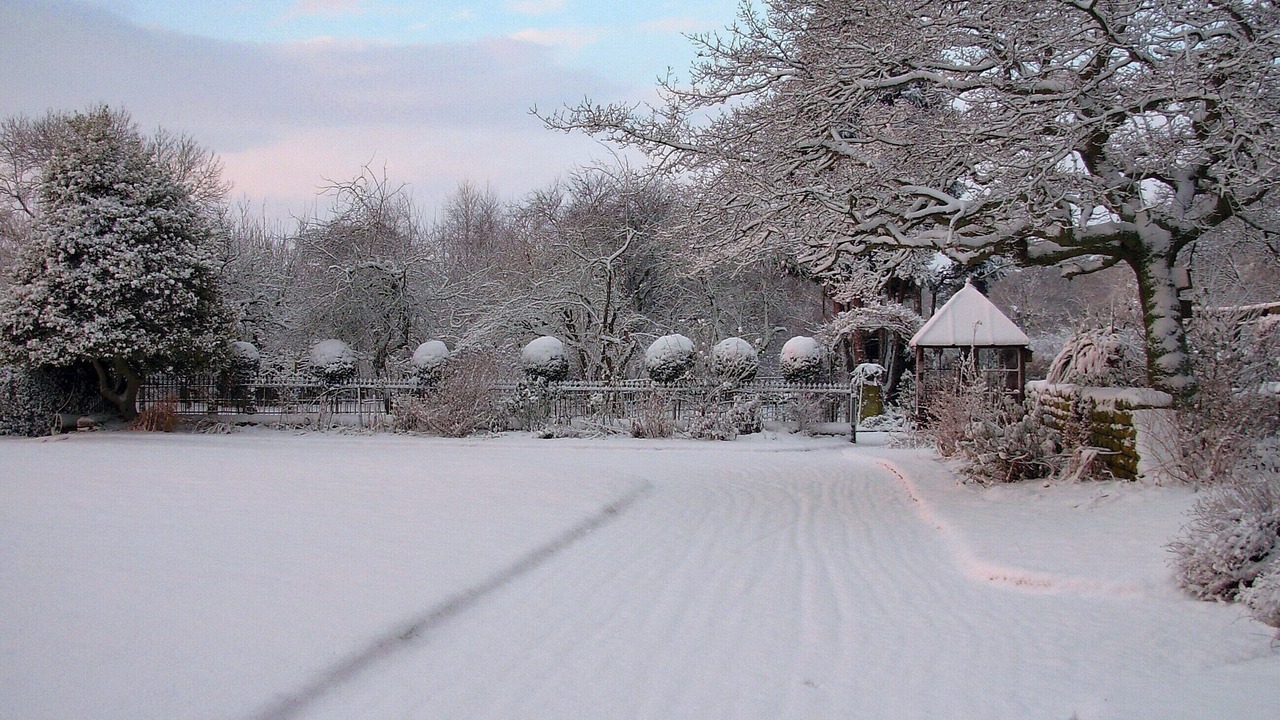 Photo of Others in Lofthouse