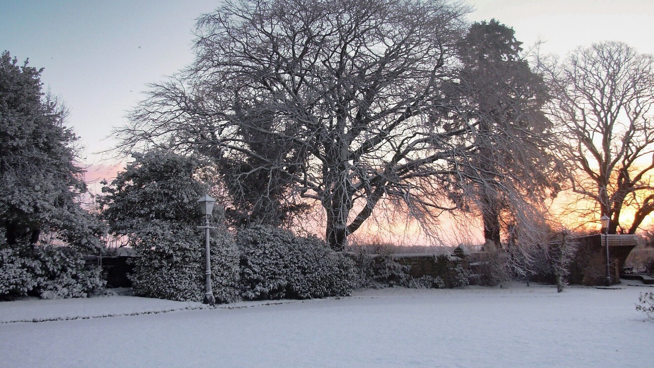 Photo of Others in Lofthouse