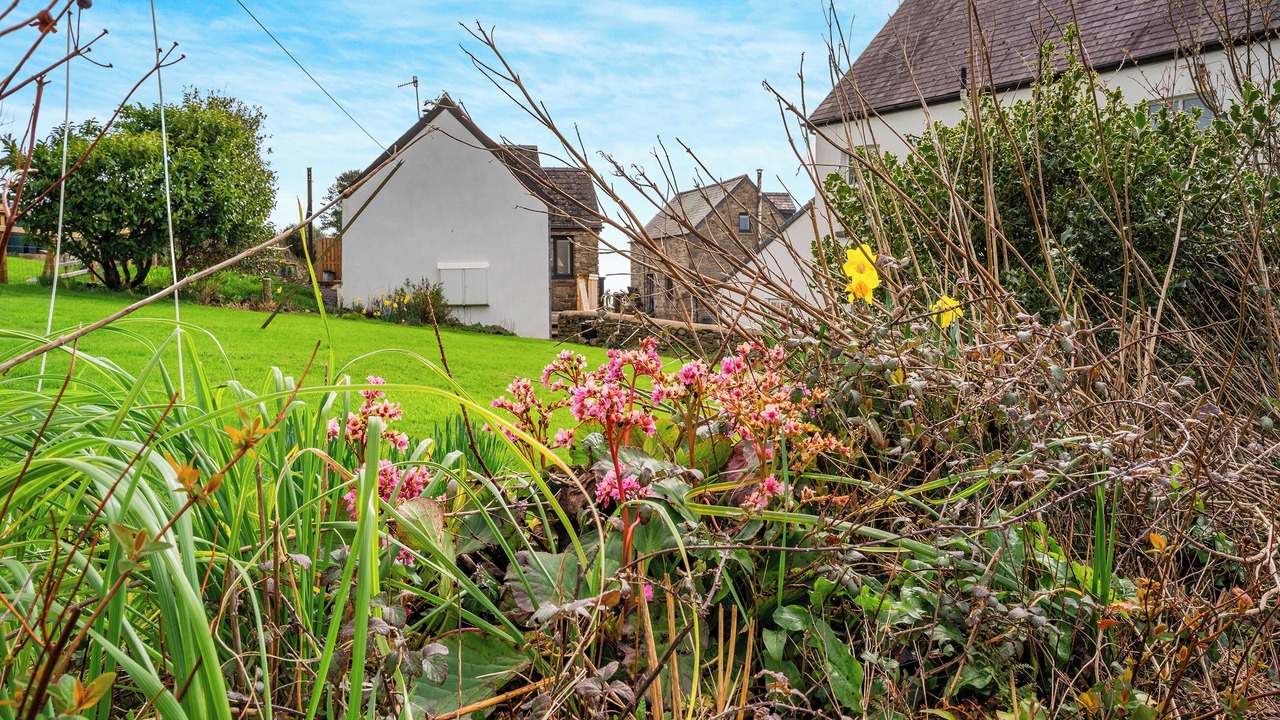 Photo of Others in Amroth