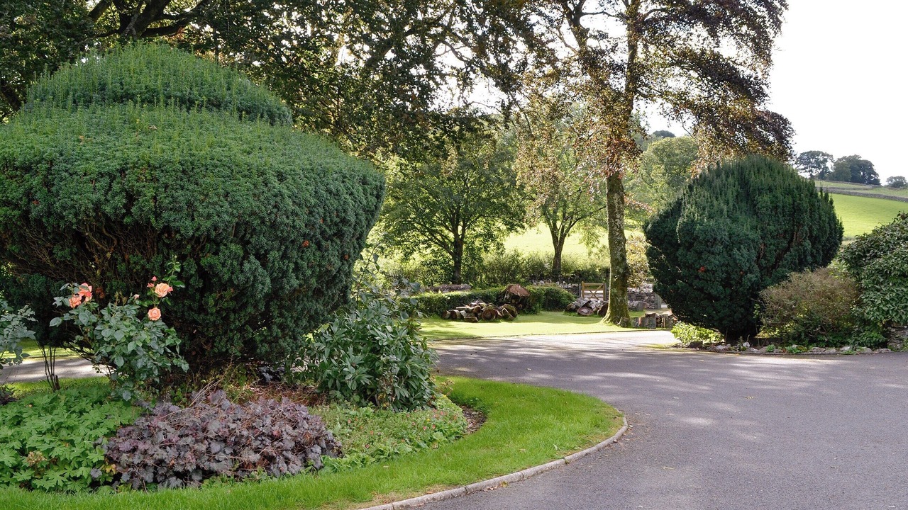 Photo of Others in Cockermouth