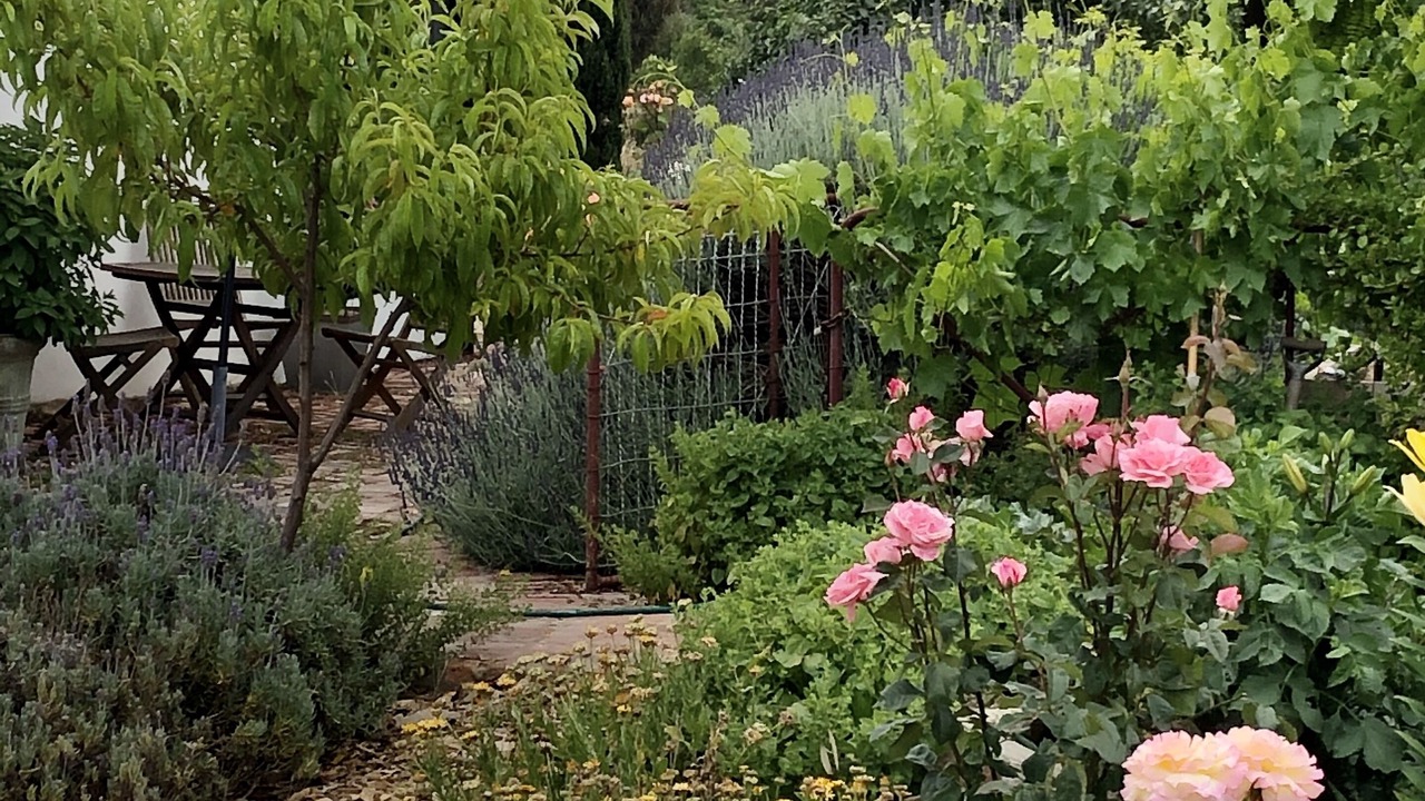 Photo of Outdoor in Chewton