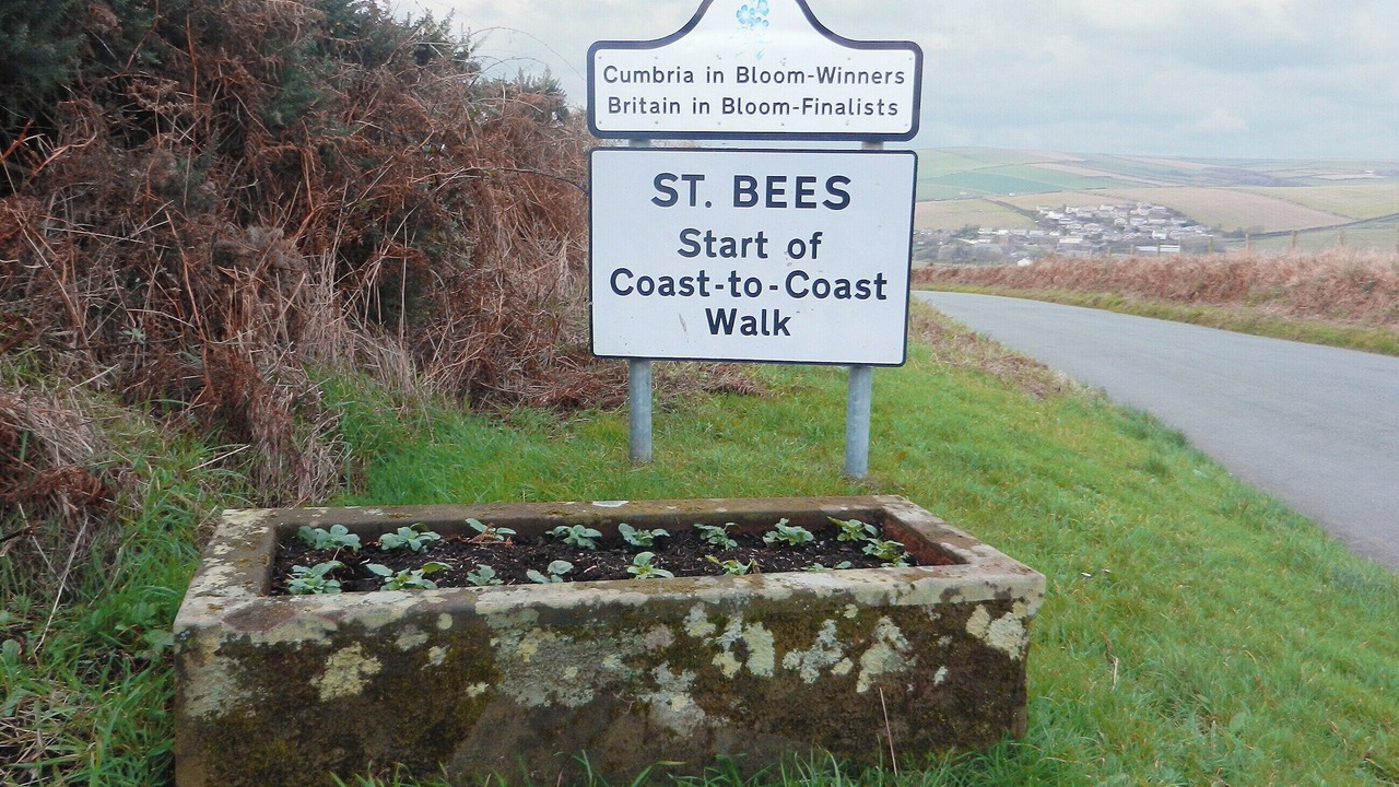 Photo of Others in St Bees
