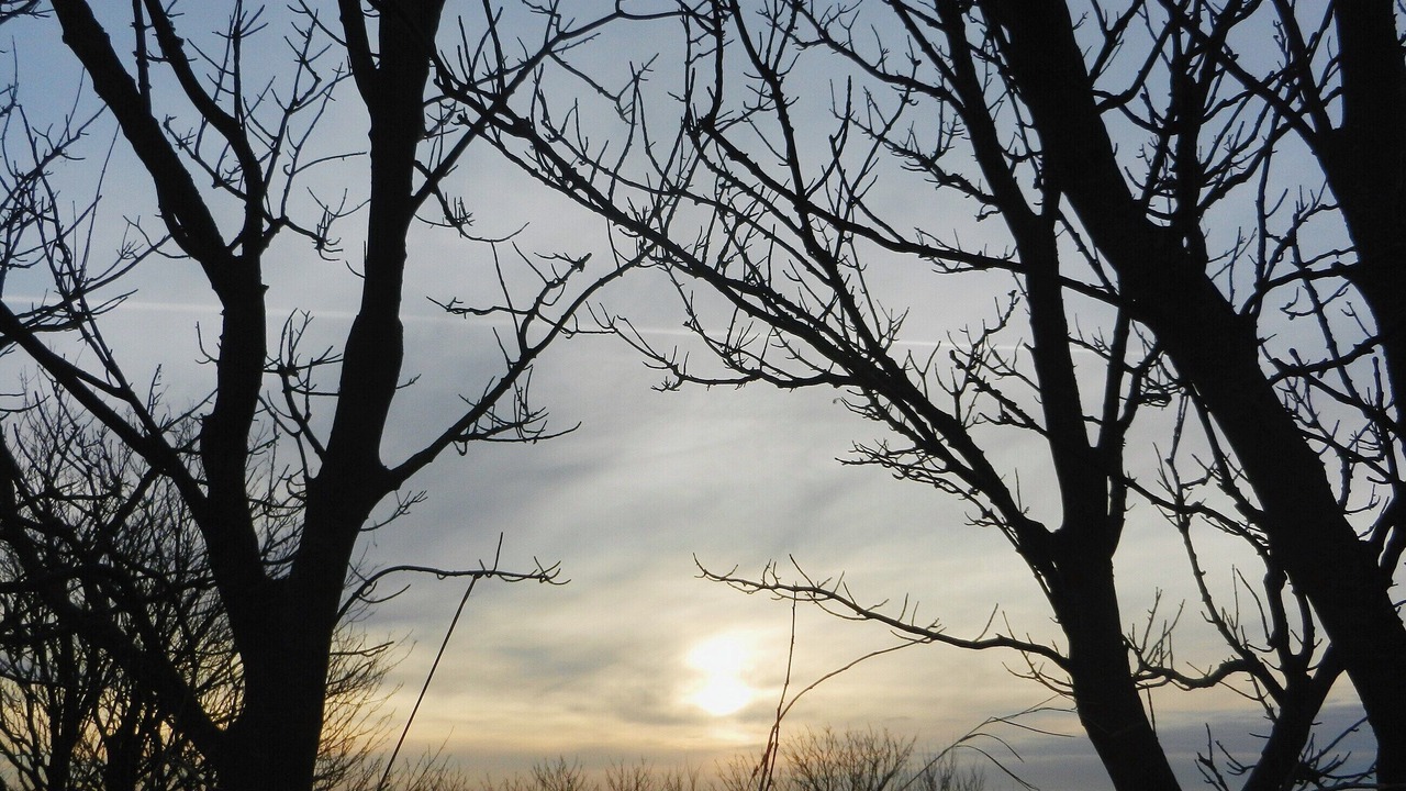Photo of Others in St Bees