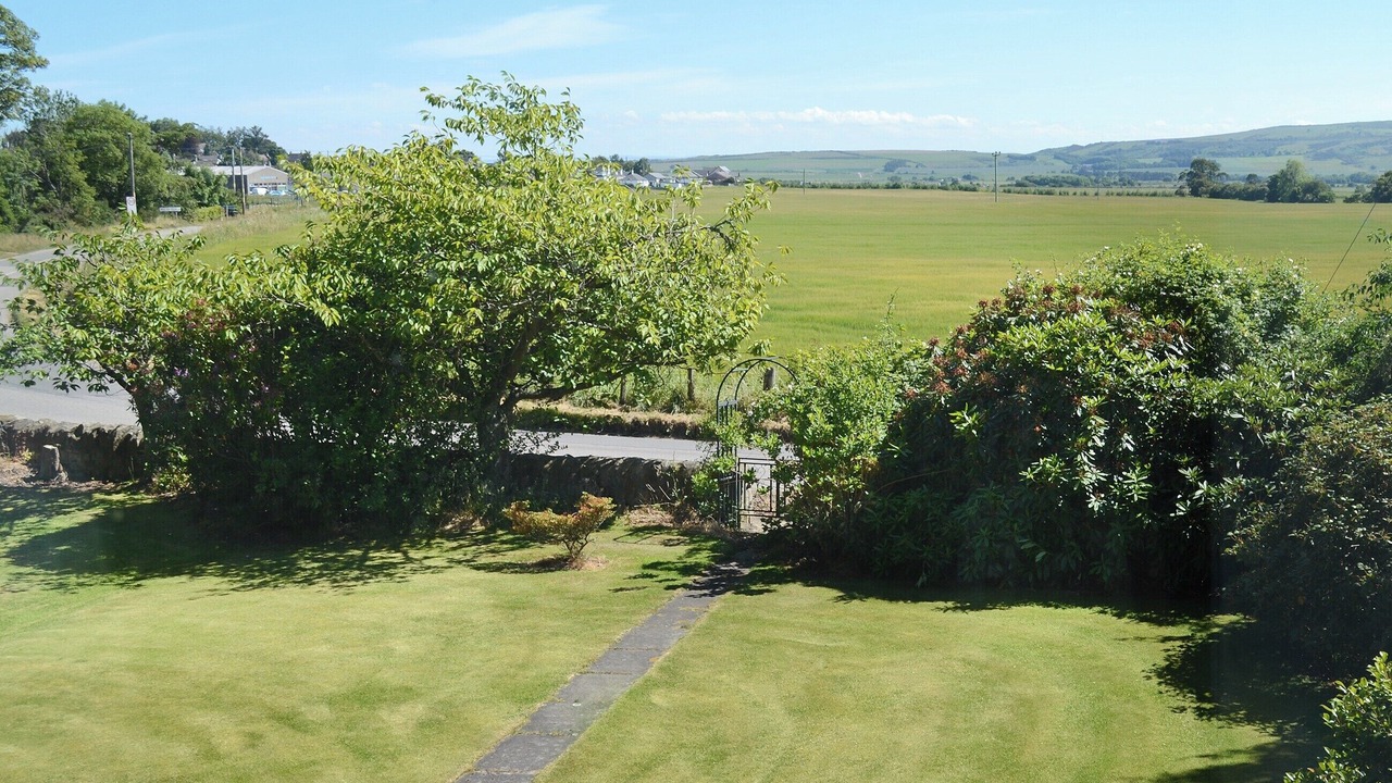 Photo of Others in Tain