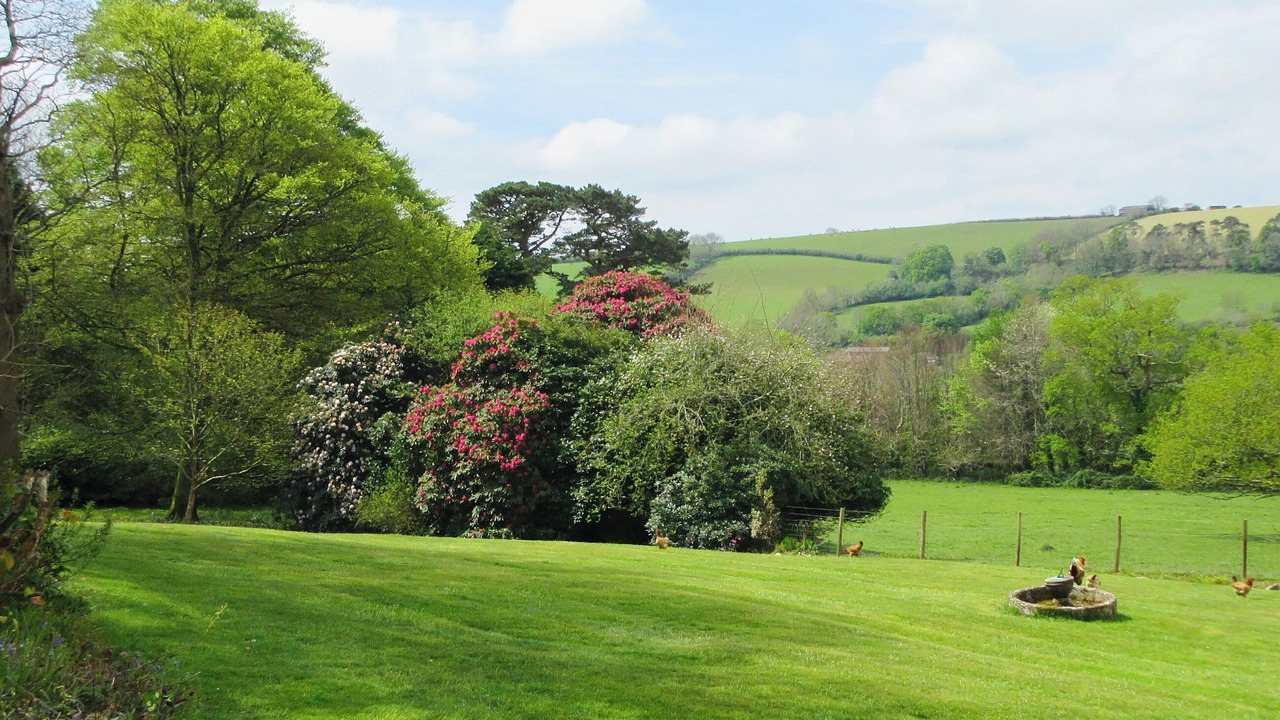 Photo of Outdoor in Lostwithiel