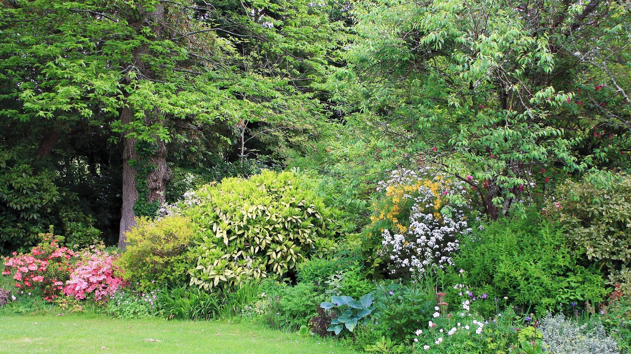 Photo of Outdoor in Lostwithiel