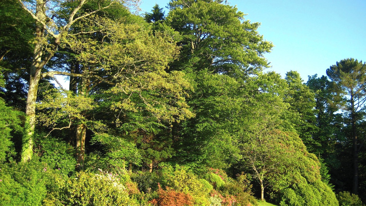 Photo of Others in Lostwithiel